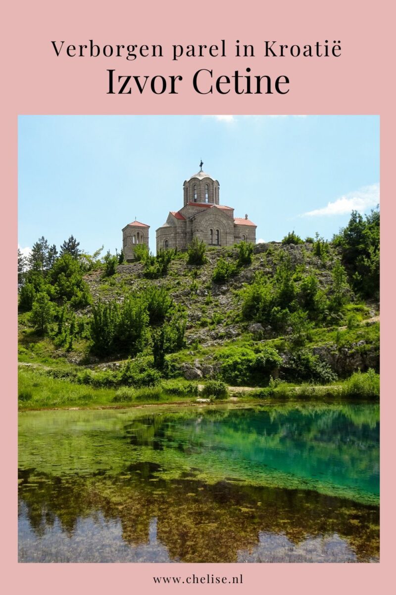 pinterest izvor cetine