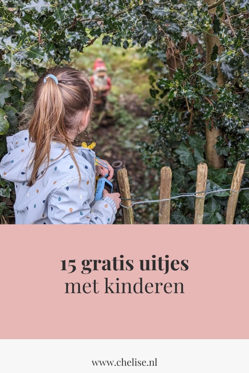 pinterest gratis uitjes