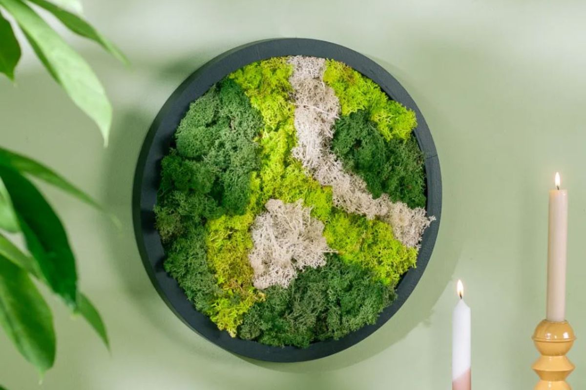 mos schilderij groen in huis