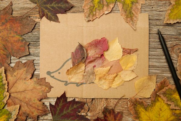 herfst dieren knutselen