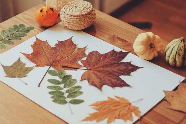 herfst knutselen bladeren