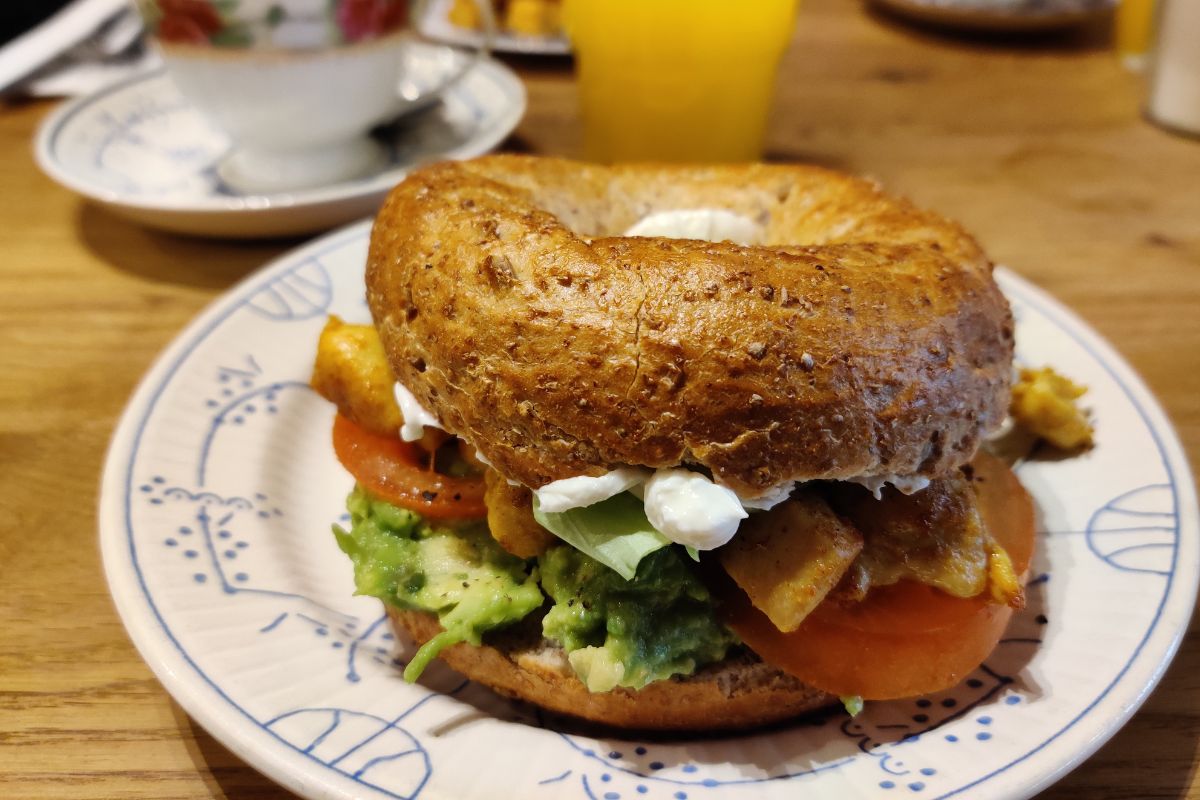 Sanseveria Bagelsalon