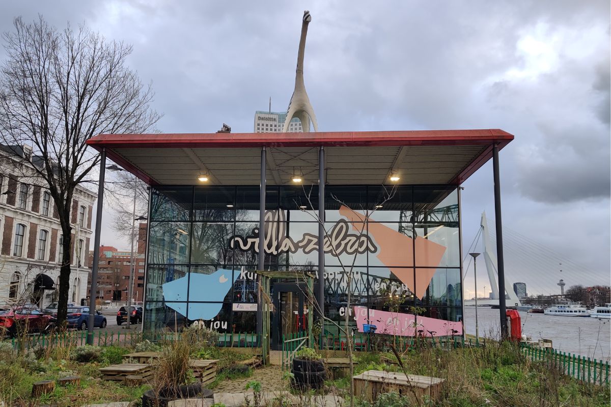 villa zebra rotterdam