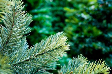 voordelen van een kunstkerstboom