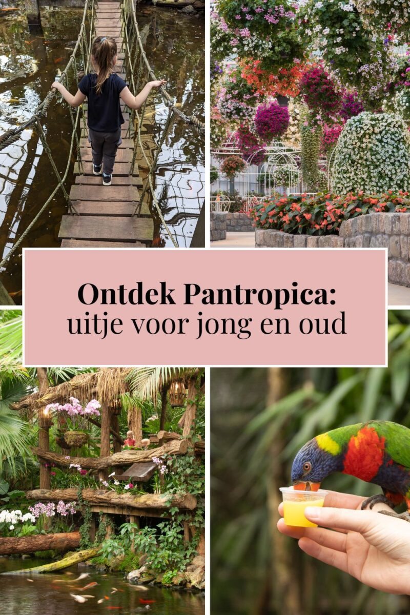 pinterest pantropica