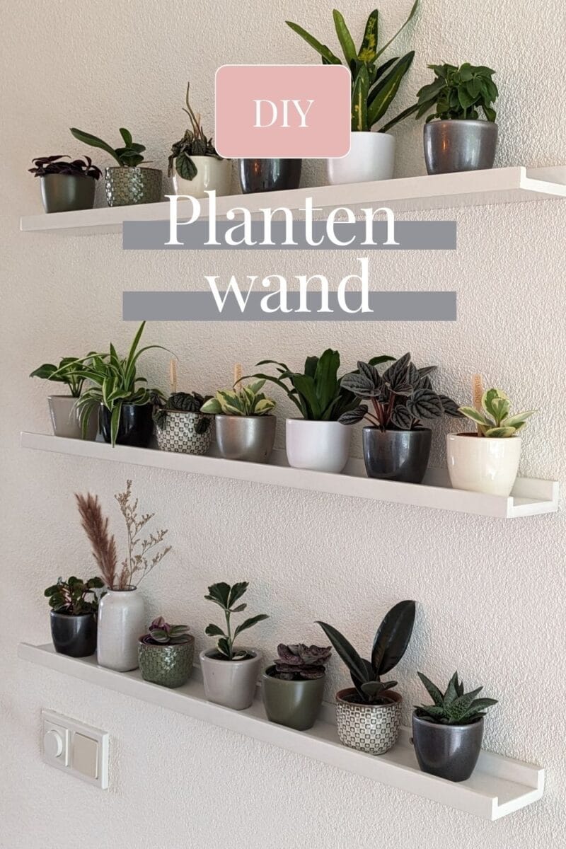 DIY plantenwand pinterest