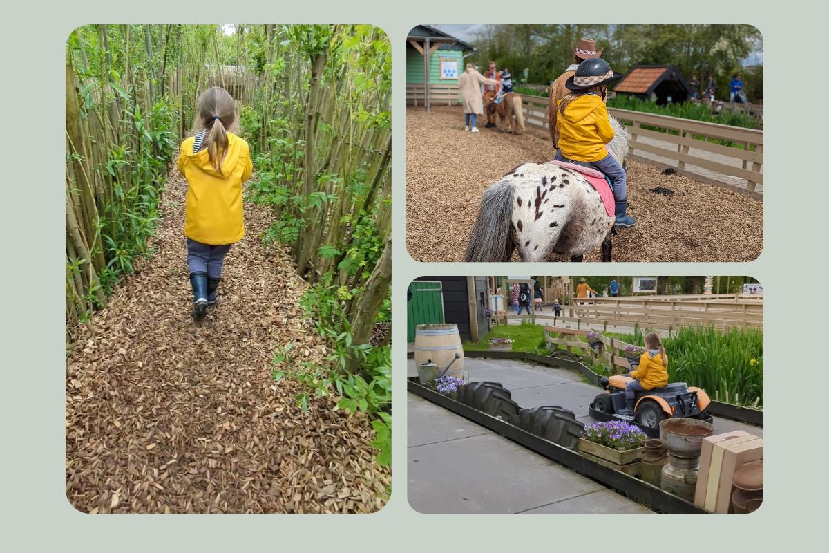 Wat te doen op Avonturenboerderij Molenwaard