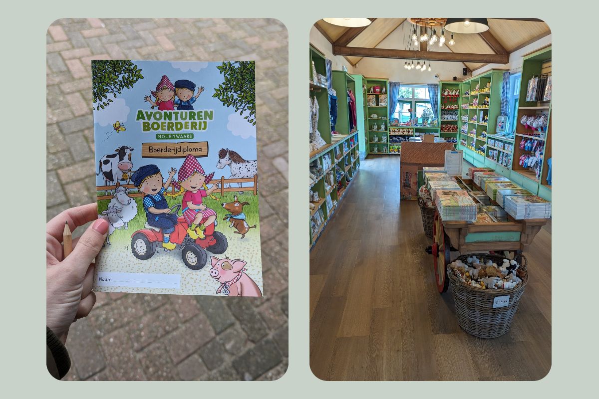 boerderijdiploma en winkel fien en teun