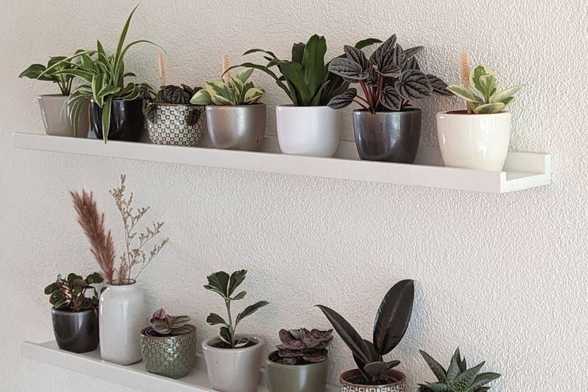 diy plantenwand