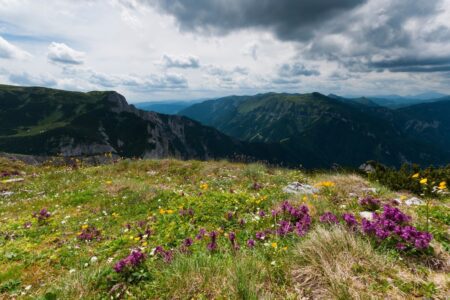 oostenrijk in de zomer vakantie