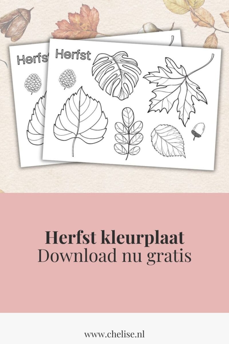 herfst kleurplaat pinterest