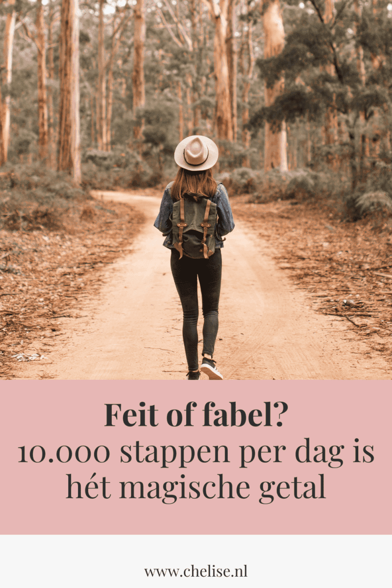 stappen per dag pinterest