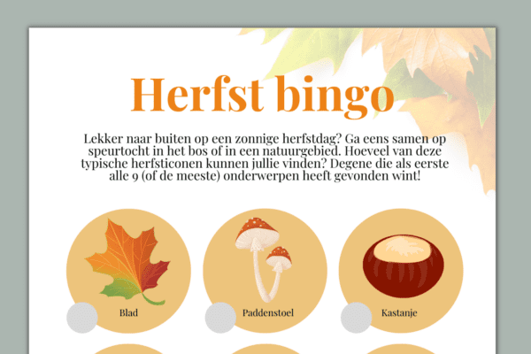 herfst speurtocht detail