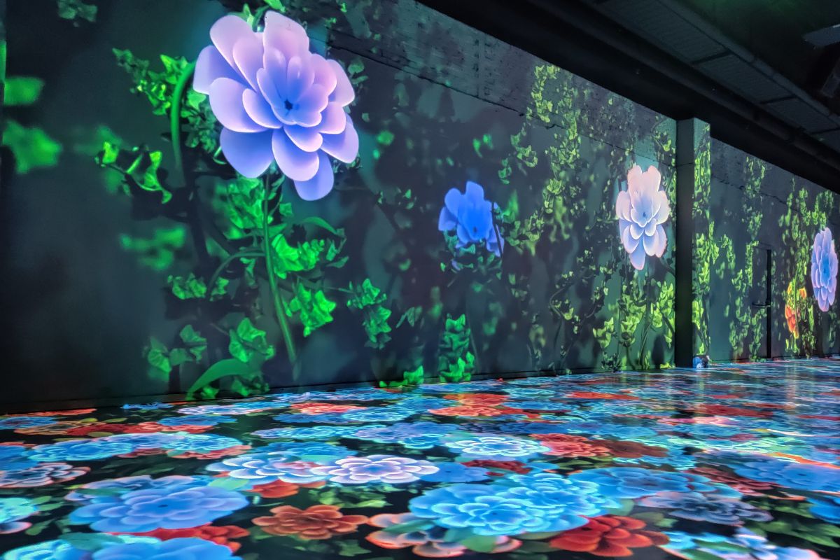 binnen uitjes met kinderen motion experience