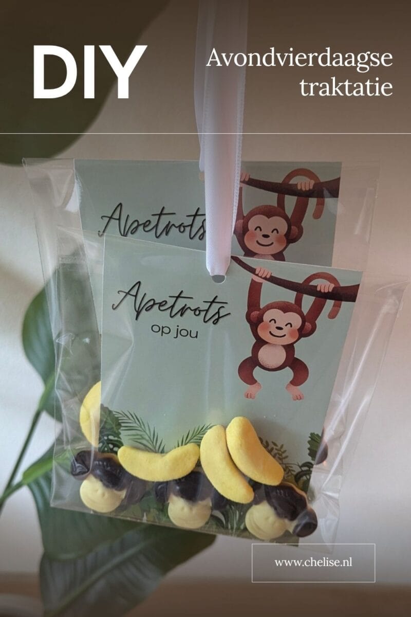 Avondvierdaagse traktatie pinterest
